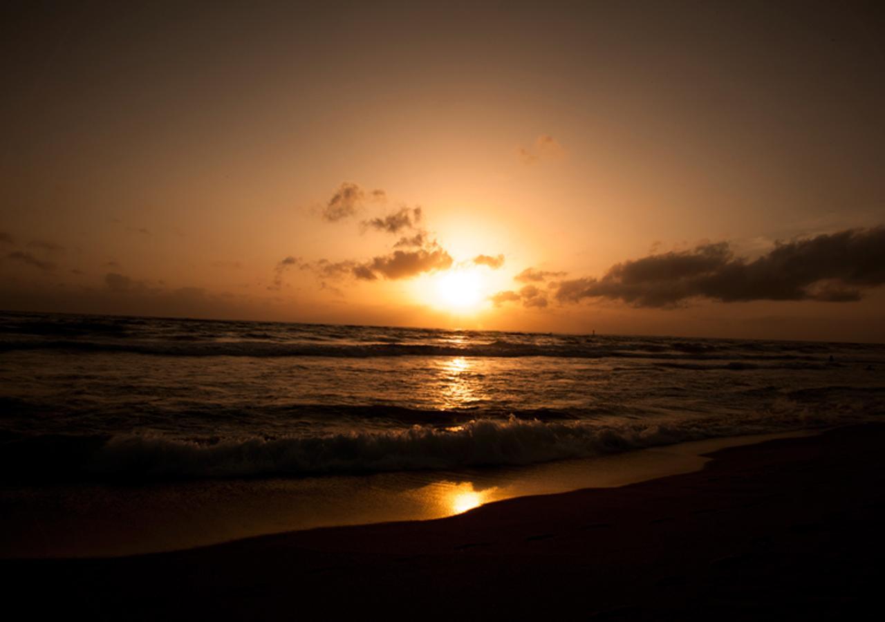 Colombo Lavinia Beach Hostel Dehiwala-Mount Lavinia Luaran gambar